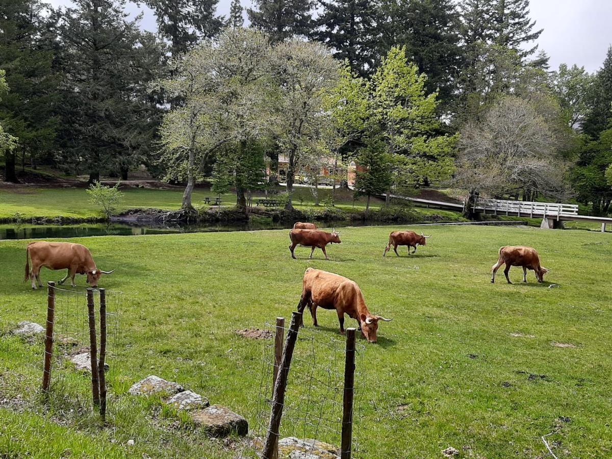 Quinta De Reiriz Διαμέρισμα Monção Εξωτερικό φωτογραφία