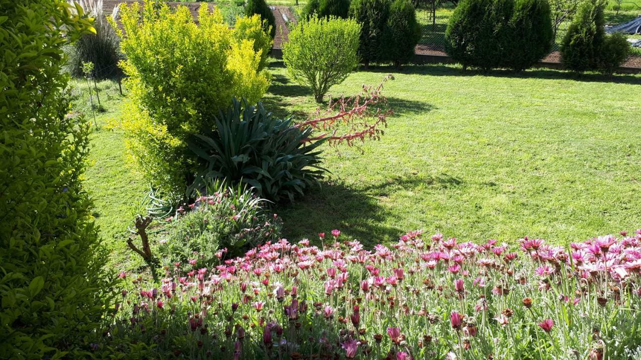 Quinta De Reiriz Διαμέρισμα Monção Εξωτερικό φωτογραφία