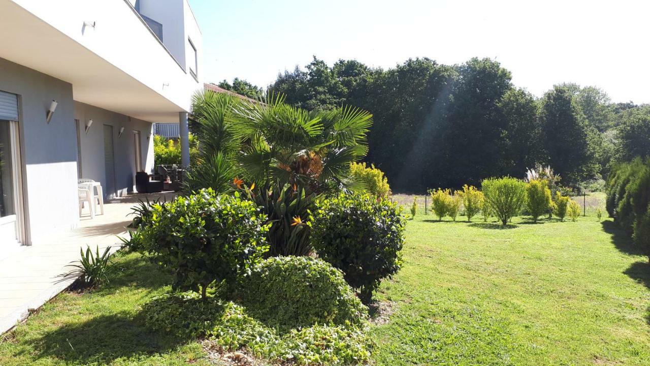 Quinta De Reiriz Διαμέρισμα Monção Εξωτερικό φωτογραφία